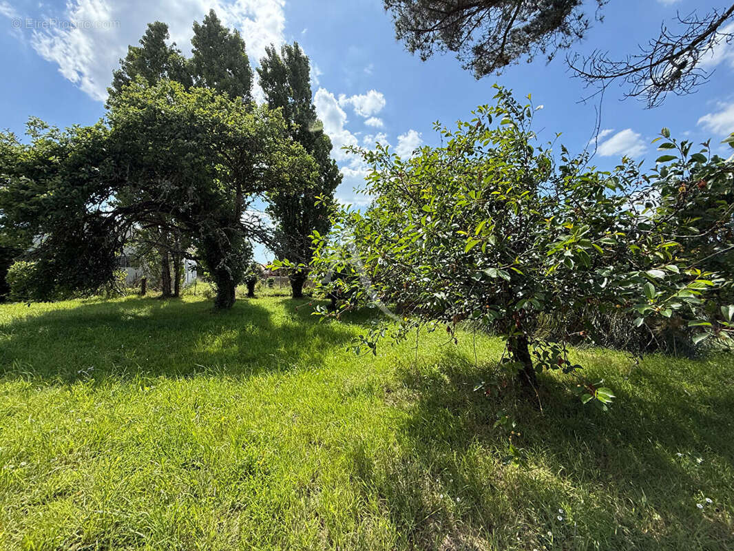Terrain à GIVRAND