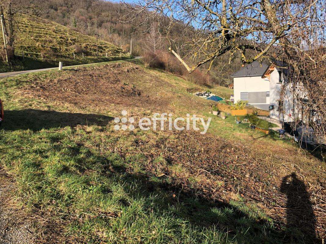 Terrain à SAINT-CASSIN