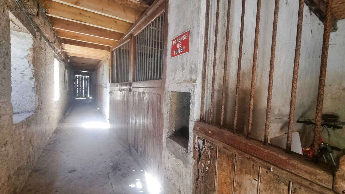 Très beau château datant du XVI ème entièrement rénové au milieu de 50 hectares et ses trois lacs situé dans l - photo 83