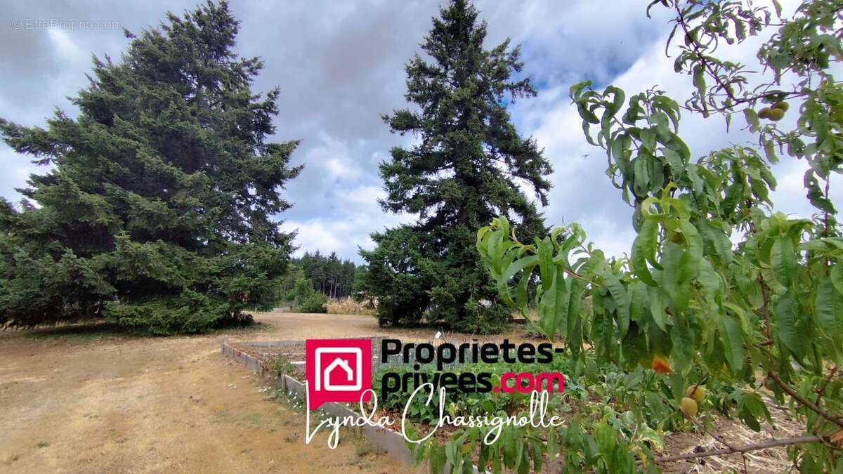 Parcelle constructible - Côte Roannaise - 1100 m2 - photo 4