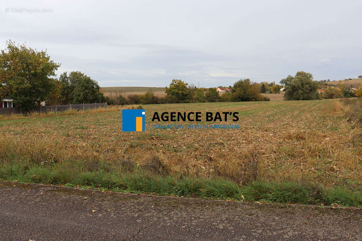 Photo 2 - Terrain à SAINT-GERMAIN-DES-FOSSES