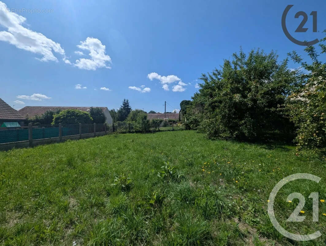 Terrain à JUTIGNY