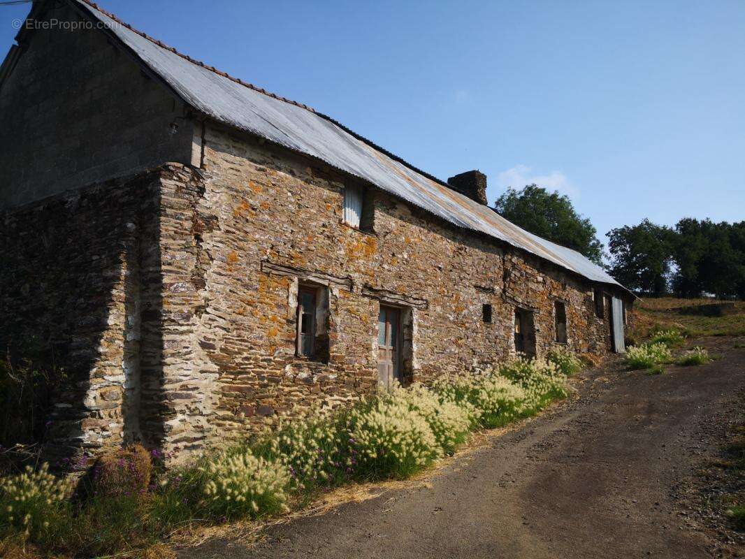 Découvrez ce joli corps de ferme isolé offrant un cadre exceptionnel et un potentiel rare, implanté sur 7,5 hectares de terrains - photo 6