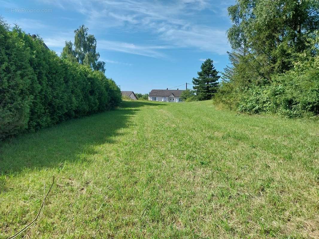 Terrain à ROHRBACH-LES-BITCHE