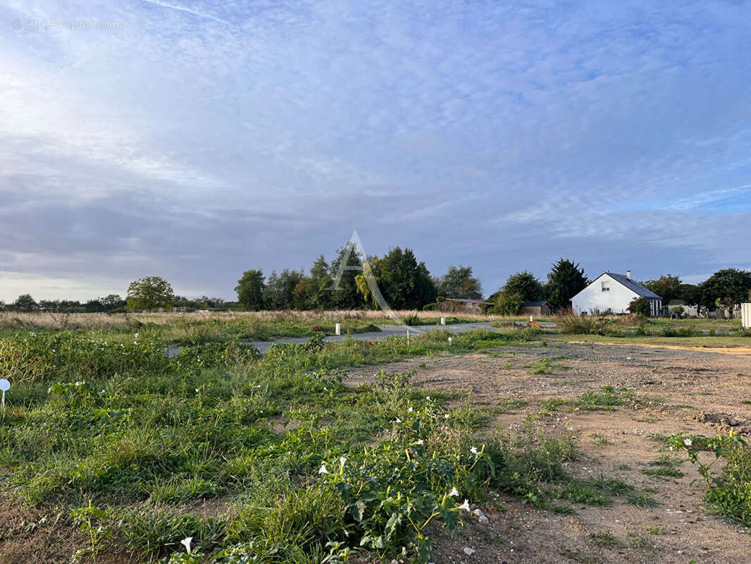 Terrain à LA MENITRE