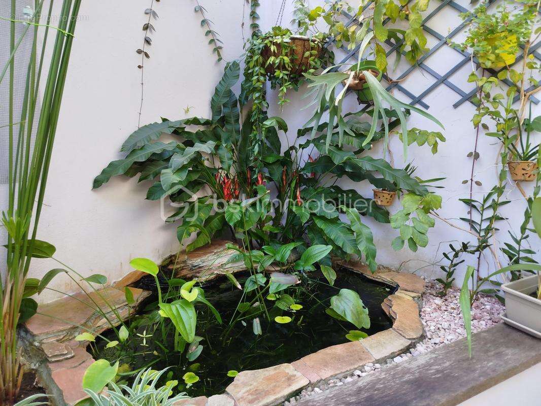 Maison à SAINTE-ROSE