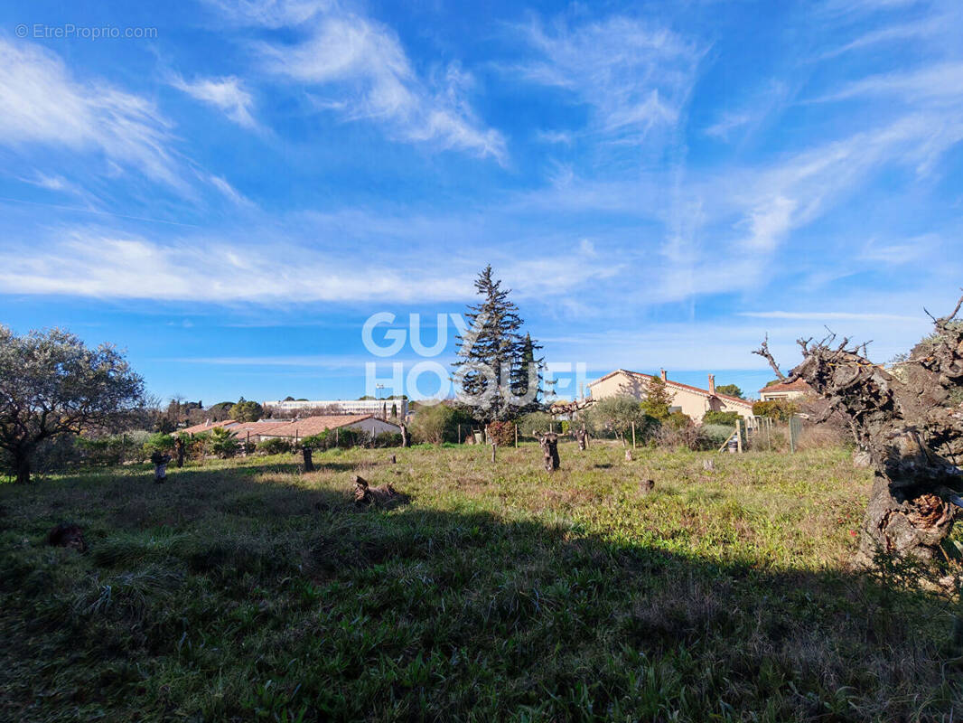 Terrain à CARPENTRAS