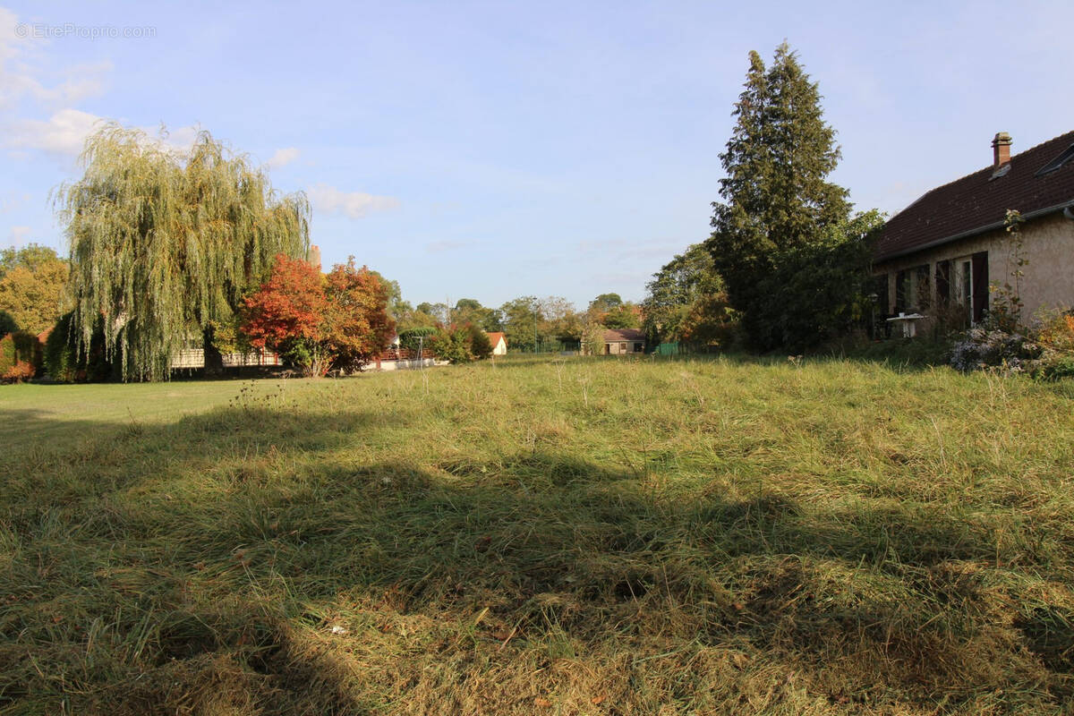 Terrain à SILLEGNY