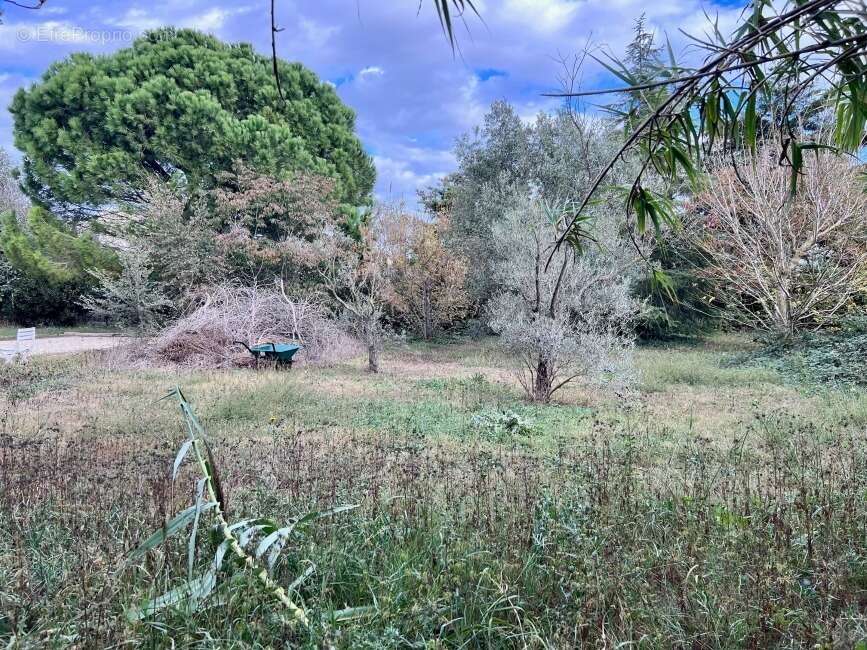 Terrain 400 m² à Fos-Sur-Mer  - photo 2