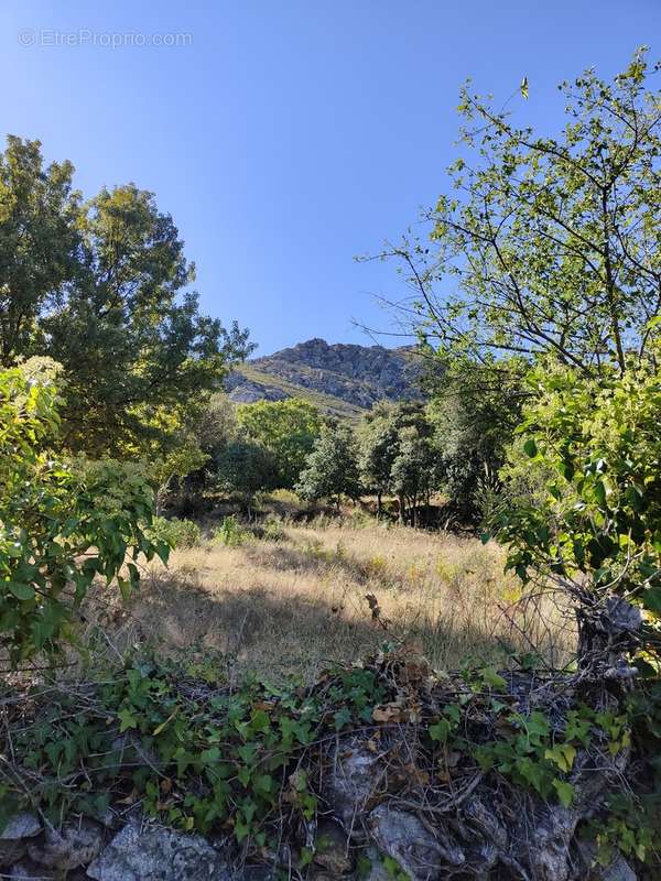 Terrain à OCCHIATANA