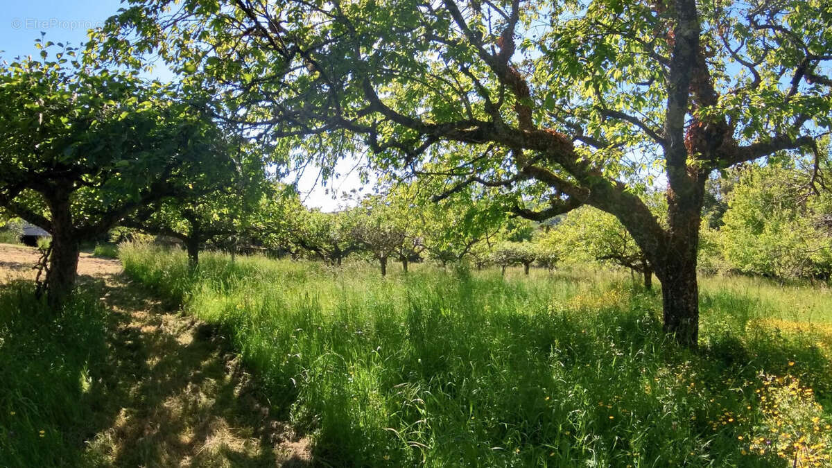 Maison à LA CHAPELLE-SUR-FURIEUSE