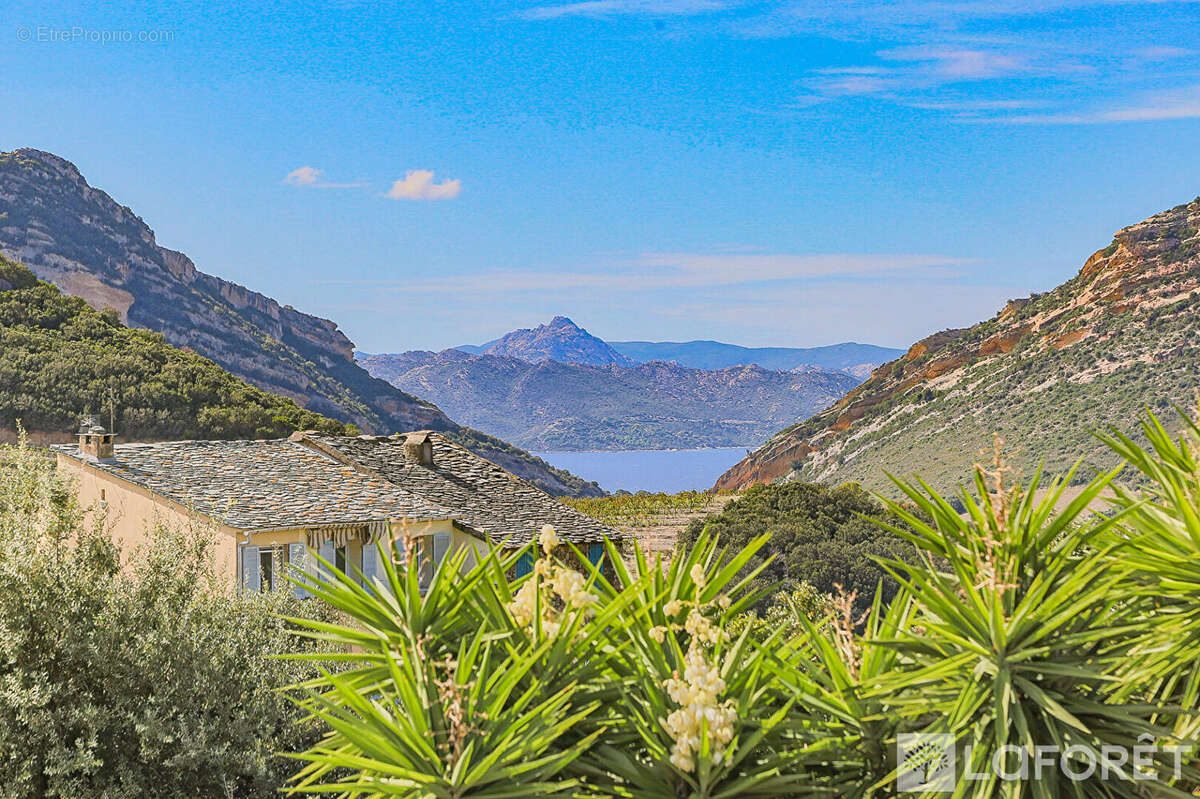 Maison à SAINT-FLORENT
