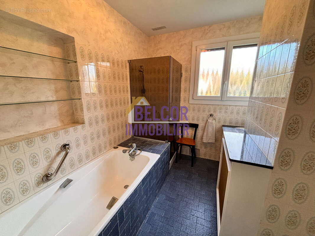 Maison à AULNAY-LA-RIVIERE