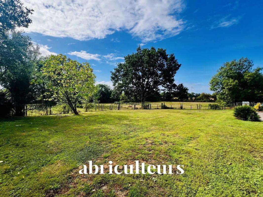 Maison à SAINT-HILAIRE-DE-CHALEONS