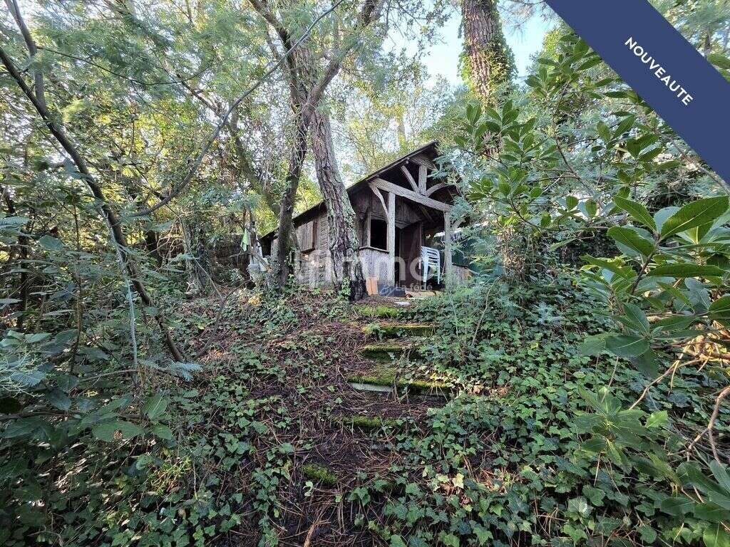 Maison à LEGE-CAP-FERRET
