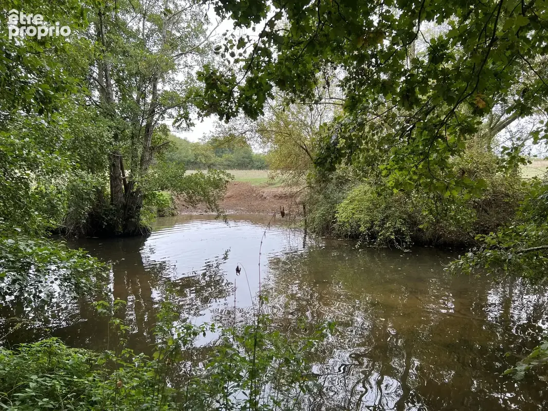 Sud Cher : pté 40 ha : grange réhabilitée, dépendances, étang, prairie, taillis - photo 18