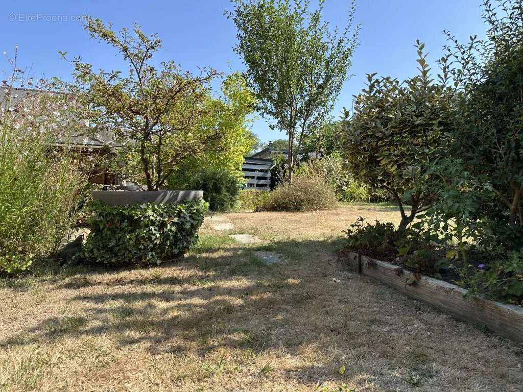 Nouveaute  saint-samson-sur -rance - photo 17