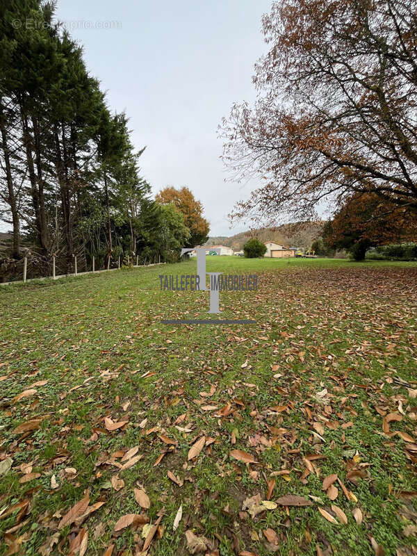 Terrain à ANTONNE-ET-TRIGONANT