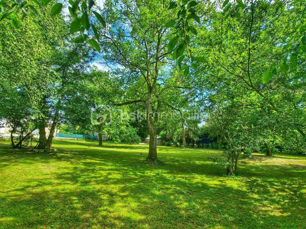 Maison à DAMMARTIN-EN-GOELE