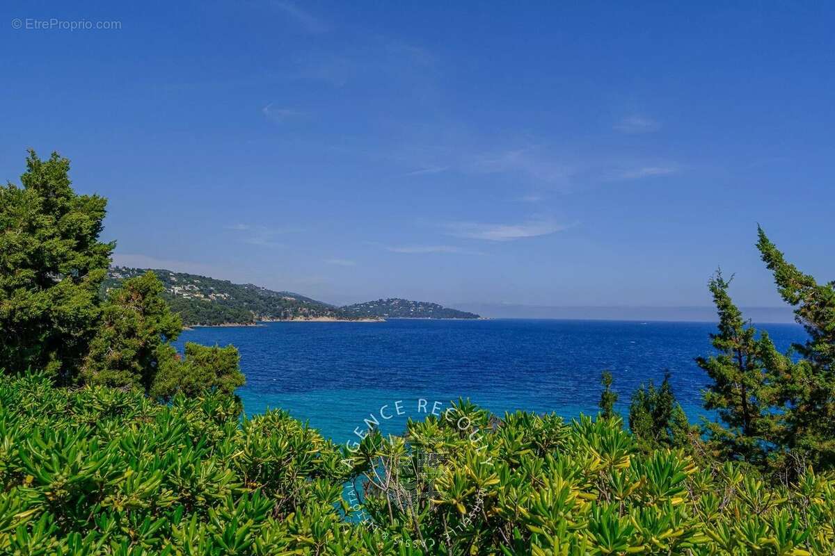 Maison à LE LAVANDOU