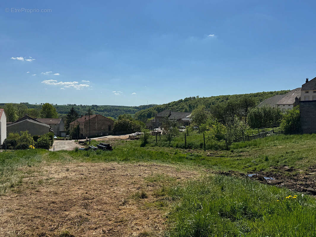 Terrain à MERSCHWEILLER