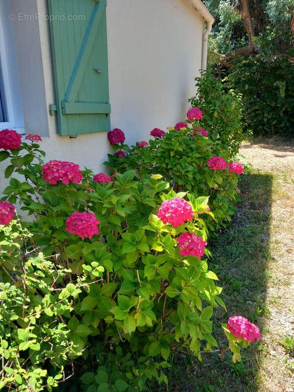 Maison à LES SABLES-D'OLONNE