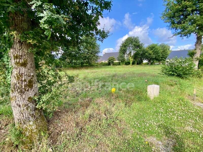 Terrain à LA TRINITE-SURZUR