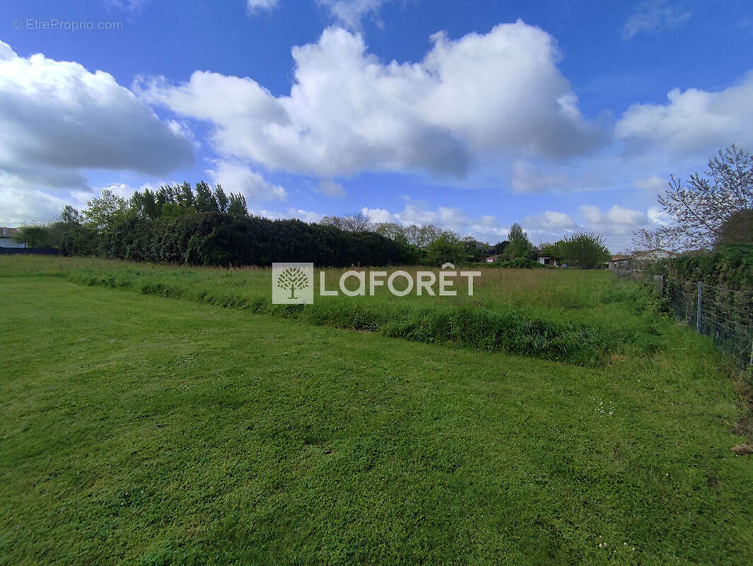 Terrain à CASTELSARRASIN