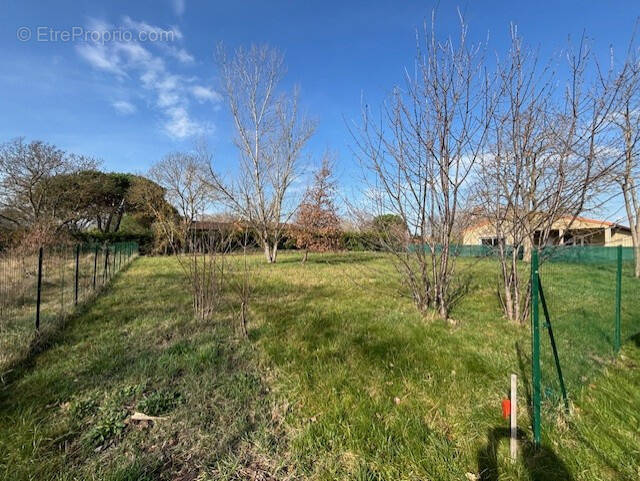 Terrain à LAUNAC