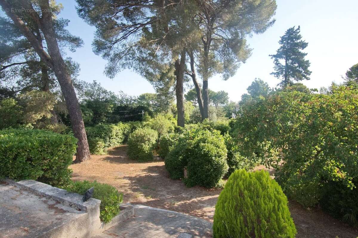 Photo 7 - Maison à PEZENAS