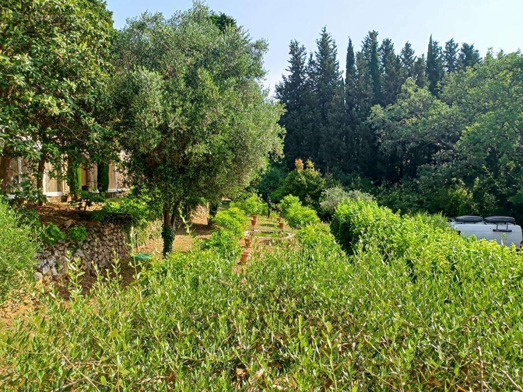 Mas du XVIIIème Siècle de 300 m² sur domaine de 15 000 m² - photo 16