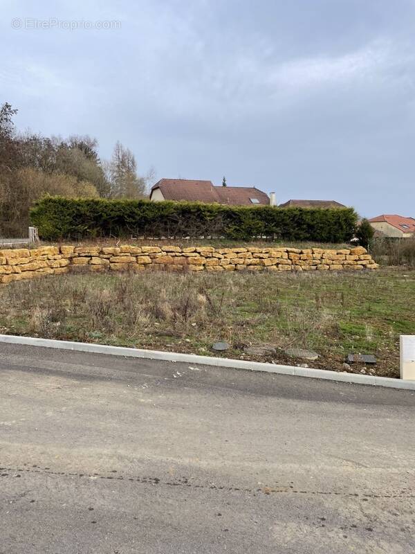 Terrain à RUSSANGE