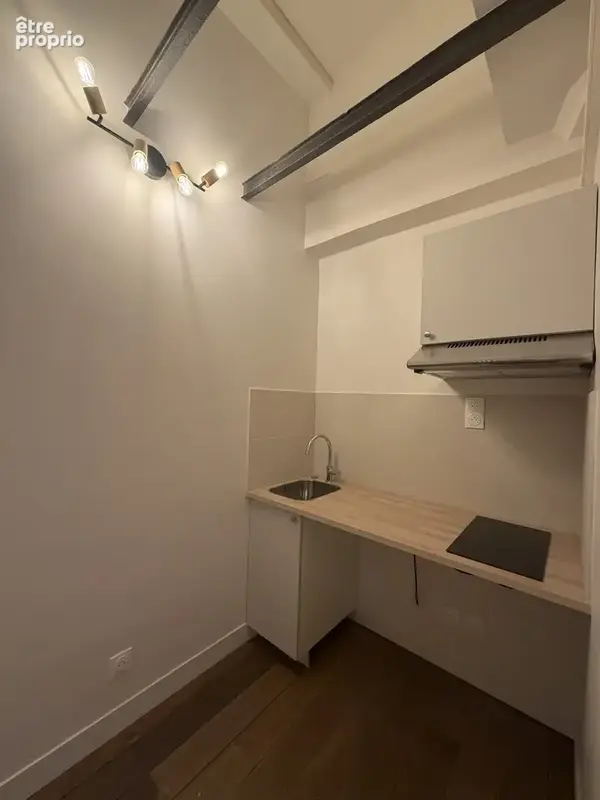Appartement 1 pièce 19 m² à vendre à Paris-15e (75015) - photo 3
