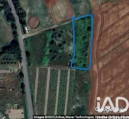 Photo 1 - Terrain à LEGE