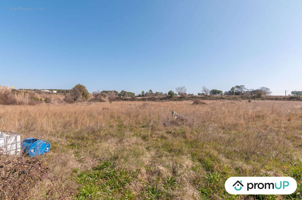Terrain à LUNEL-VIEL