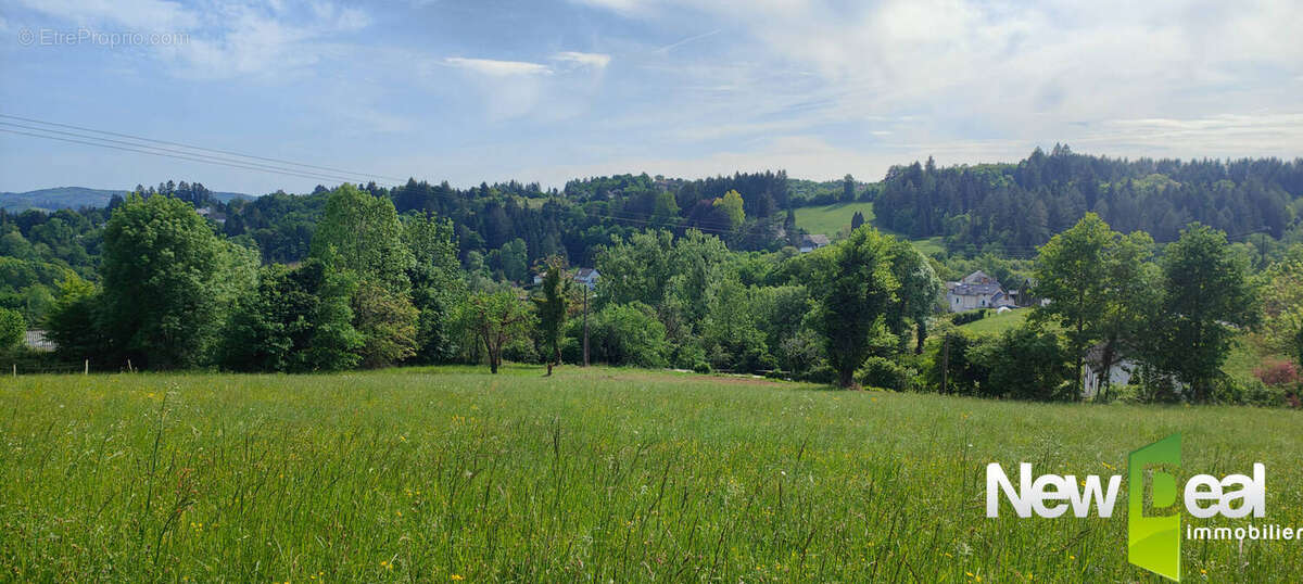 Terrain à TULLE