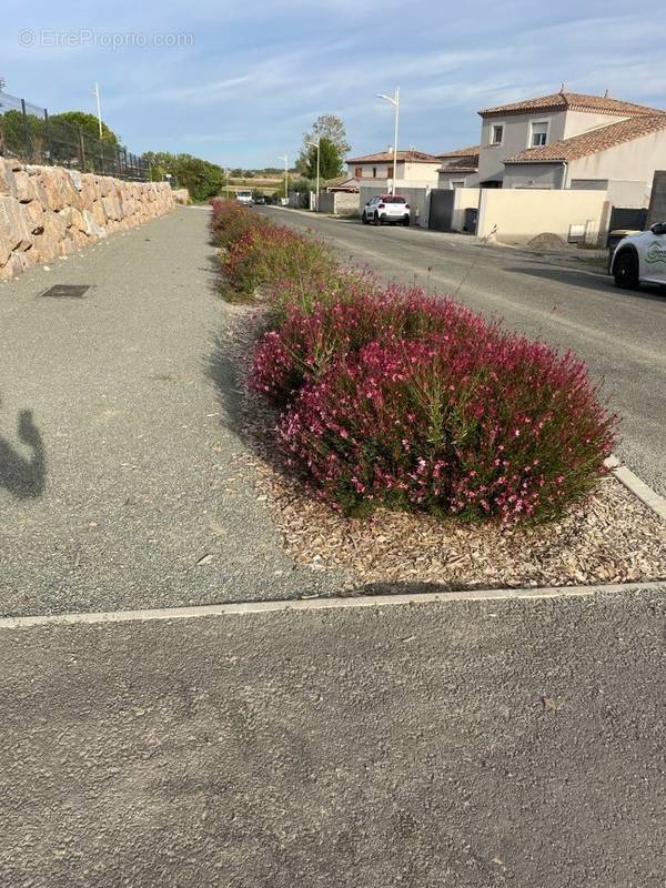 Terrain à SAINT-GENIES-DE-FONTEDIT