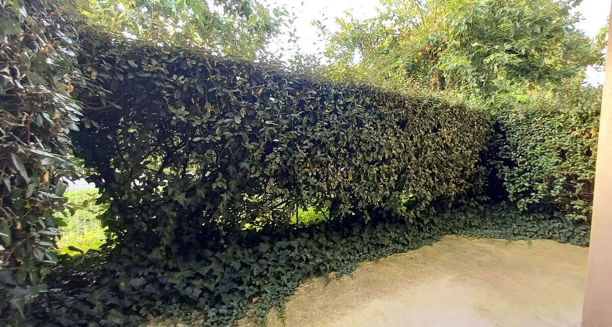 Appartement à SAINT-VIVIEN-DE-MEDOC