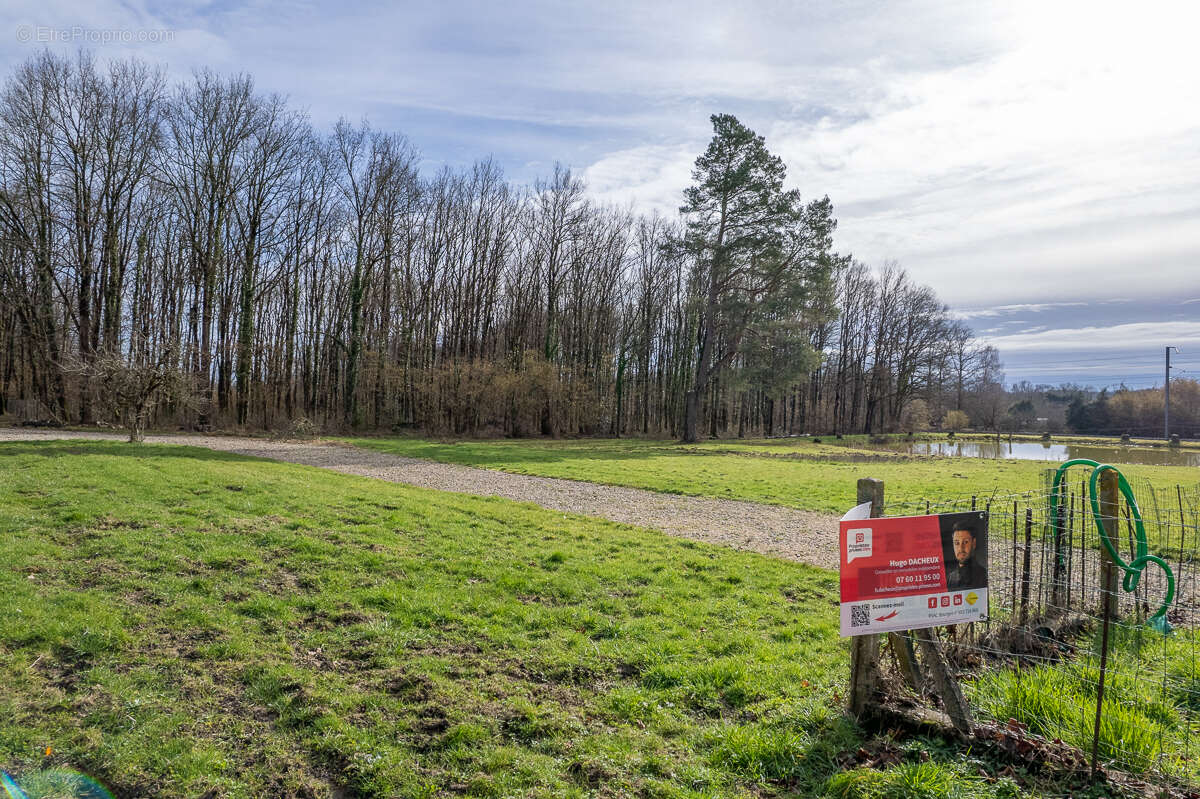 Terrain constructible - Thenioux, avec un étang - 4322 m²  - - photo 2