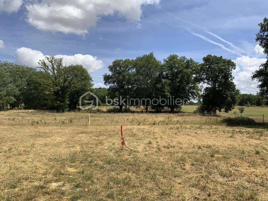 Terrain à SAINT-GILDAS-DES-BOIS