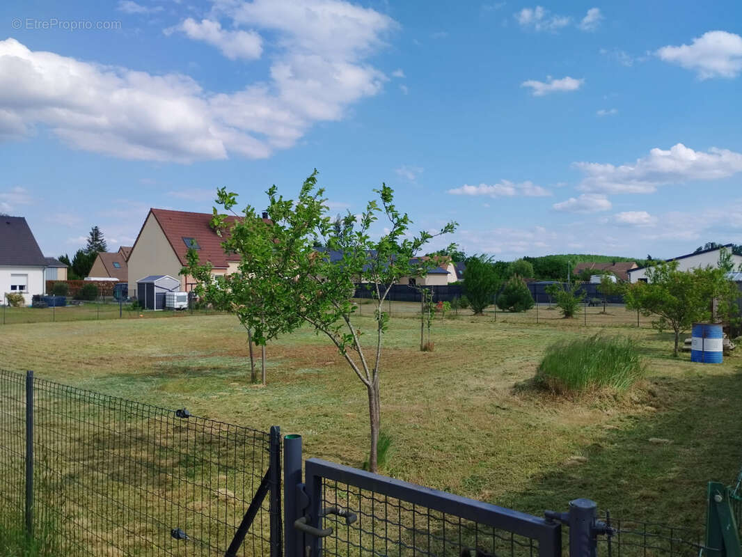 Terrain à MONTFORT-LE-GESNOIS