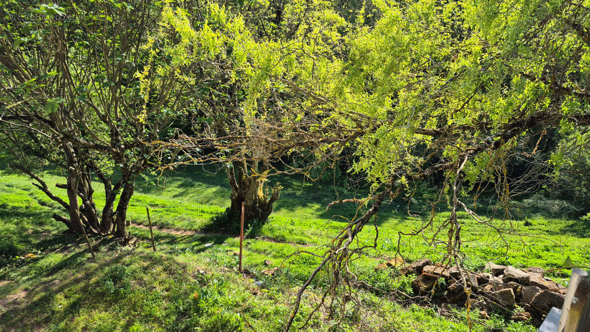 Maison à BESSUEJOULS