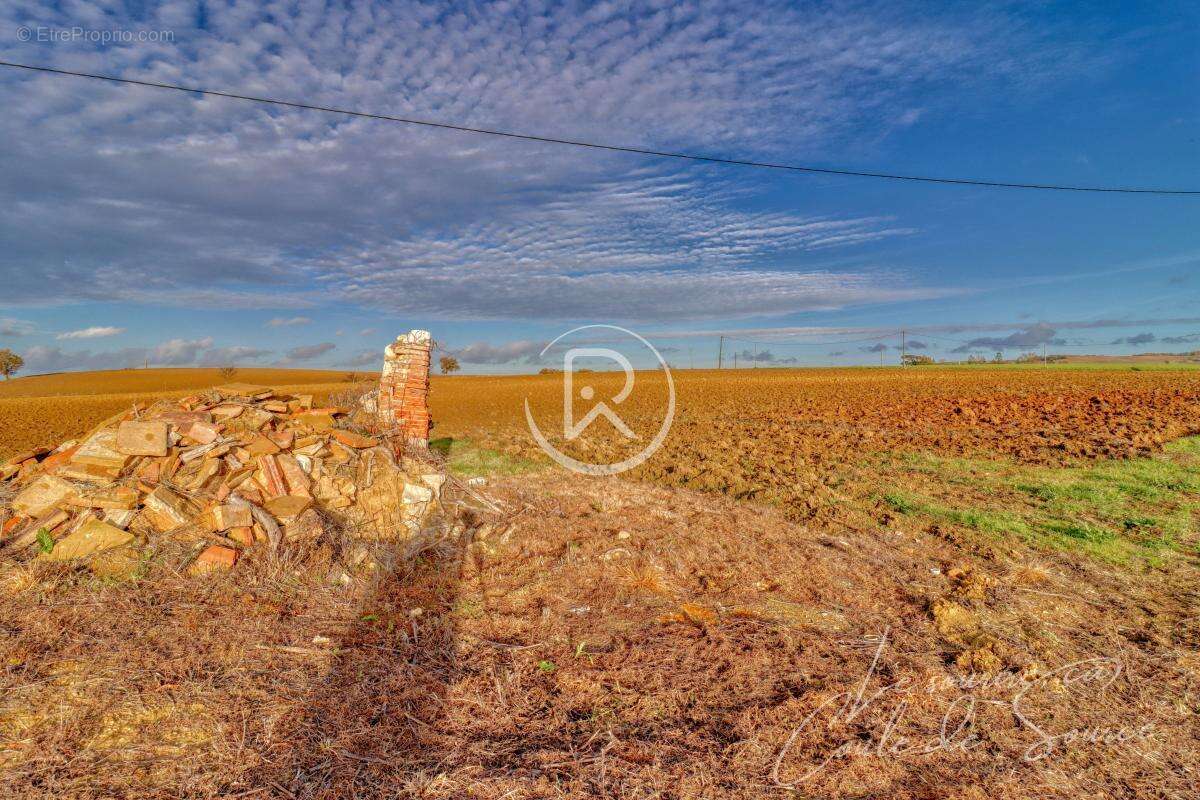 Terrain à BEAUMONT-DE-LOMAGNE
