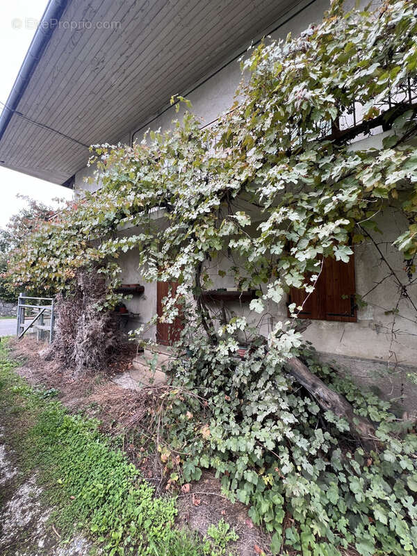 Maison à LESCHERAINES