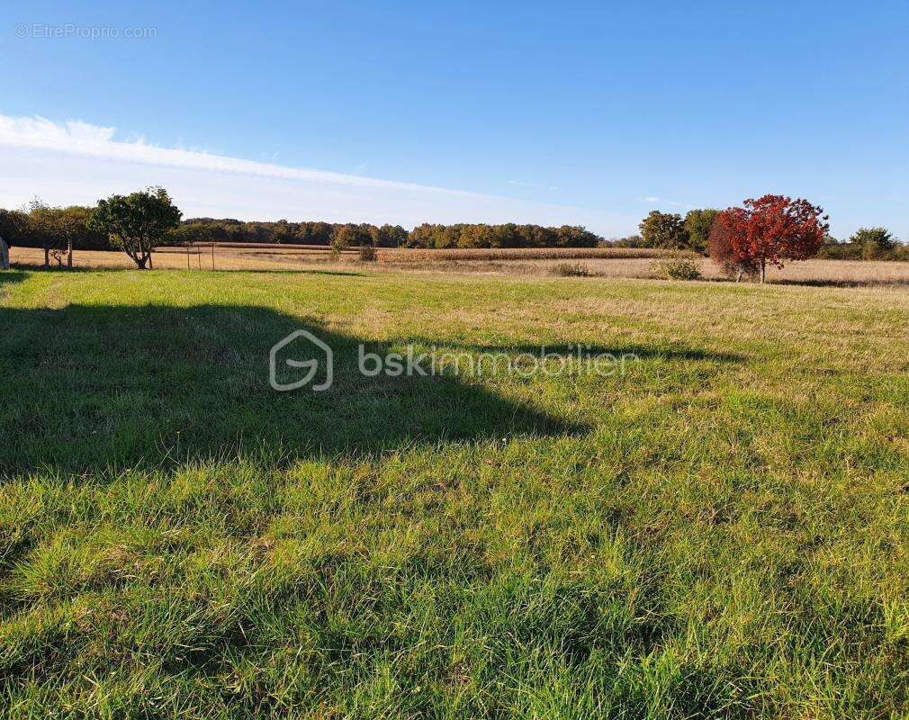 Terrain à BARCELONNE-DU-GERS