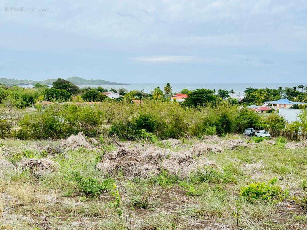 Terrain à LE VAUCLIN