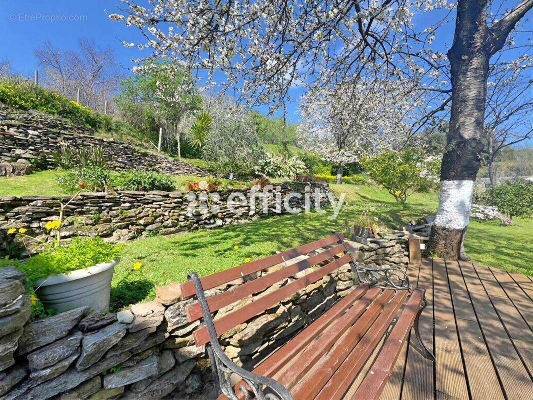 Maison à VELONE-ORNETO