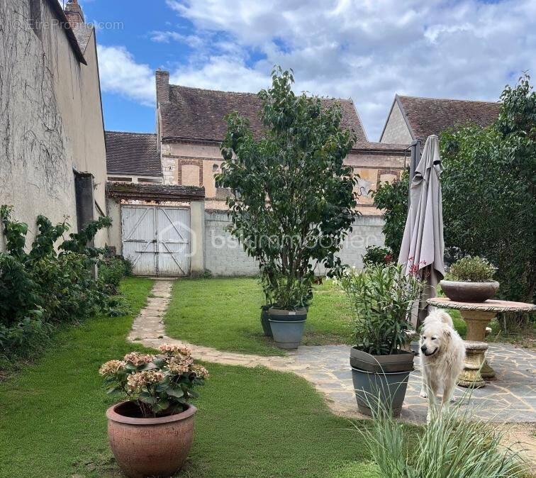 Maison à VILLENEUVE-L'ARCHEVEQUE