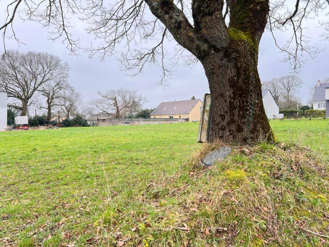 Terrain à CONQUEREUIL