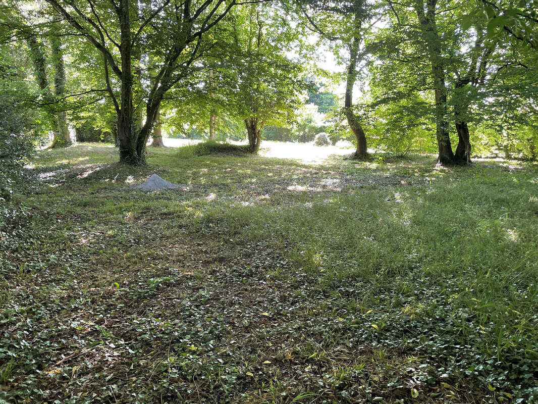 Terrain à SAINTE-GENEVIEVE